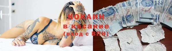 бошки Аркадак