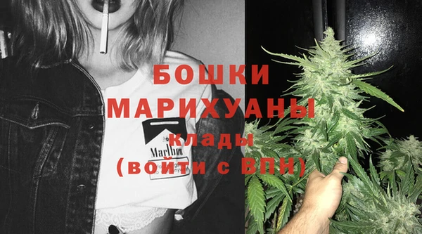 бошки Аркадак