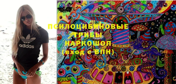прущая мука Арсеньев