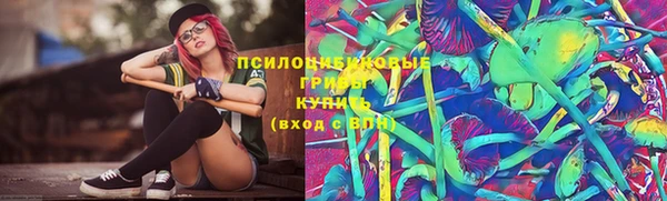 прущая мука Арсеньев