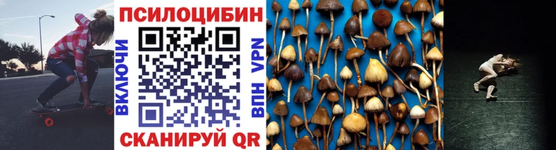 Купить закладки  Железноводск  Галлюциногенные грибы прущие грибы 