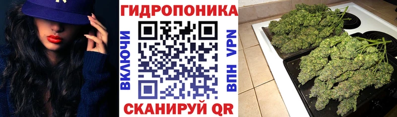 Купить закладки  Железноводск  Конопля THC 21% 